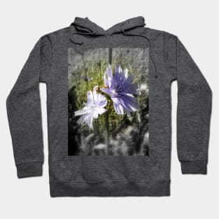 chicory flowers 4 Hoodie